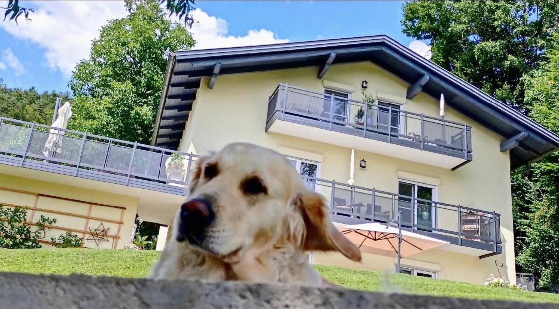 Schwalbennest Velden Leilighet Velden am Wörthersee Eksteriør bilde