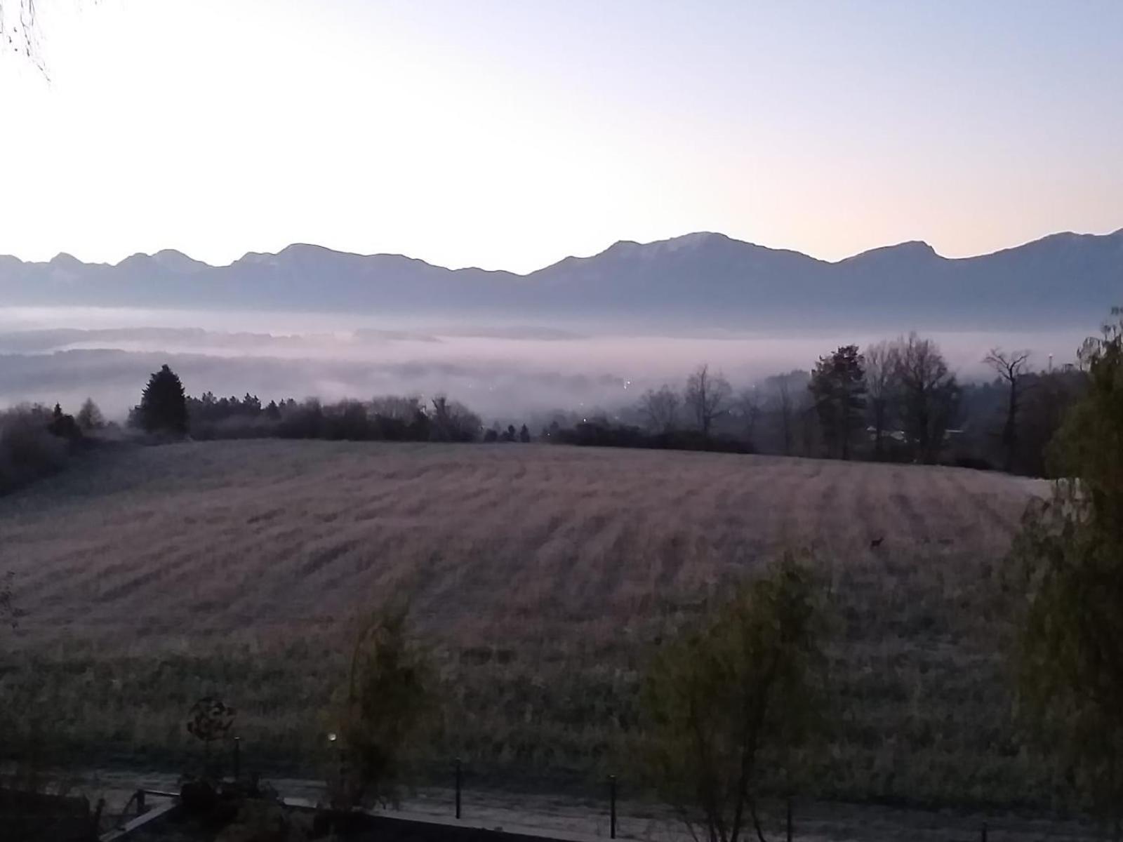 Schwalbennest Velden Leilighet Velden am Wörthersee Eksteriør bilde